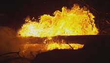 Natur macht Geschichte