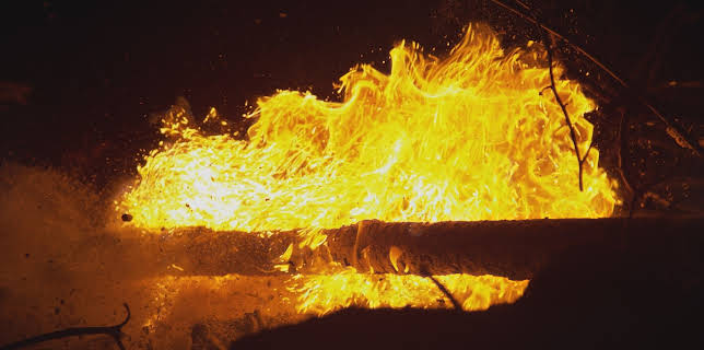 Natur macht Geschichte
