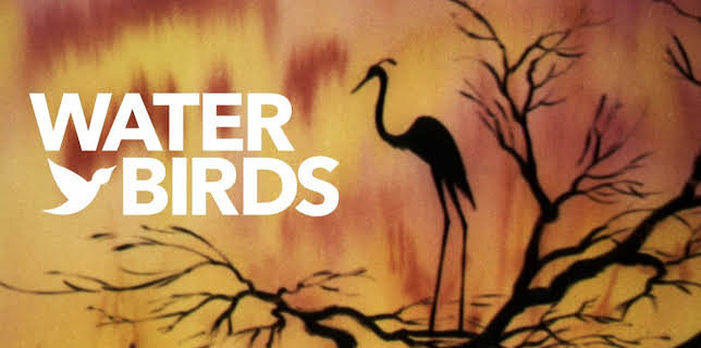 Water Birds (1952)
