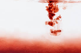 I Was Prey: Terrors of the Deep 2: I Was Prey: Terrors From the Deep 2