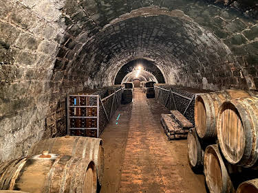 09:40: Wein – Eine Geschichte durch Jahrtausende | ZDFinfo | 3/29 2026