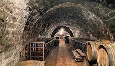 Wein – Eine Geschichte durch Jahrtausende