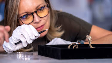 7:00 PM: Art Detectives (S1 E2) (S1) | Drama | 1/17 2026