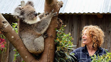 2:45 PM: Animal Park | BBC Two | 9/9 2026