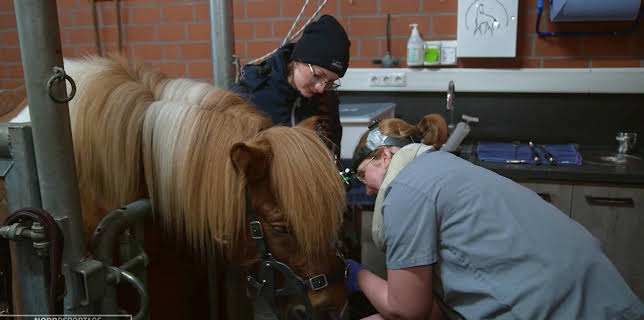 11:30: Die Nordreportage: Hofgeschichten | NDR Fernsehen | 1/24 2026