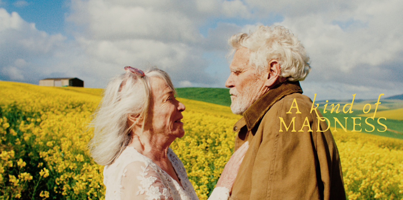 A Kind of Madness (2025)