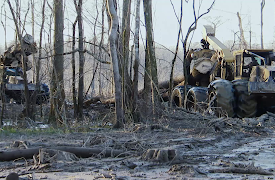 Swamp Loggers: Episode 12