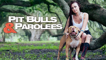 16:00: Pit Bulls & Parolees (S6 E21) (S6) | Animal Planet | 12/25 2025