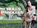 Pit Bulls & Parolees