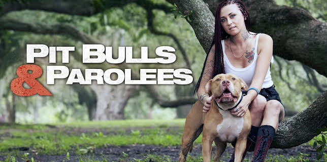 15:00: Pit Bulls & Parolees (S6 E21) (S6) | Animal Planet | 12/25 2025
