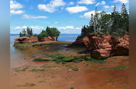 The Living Beach: Nova Scotia