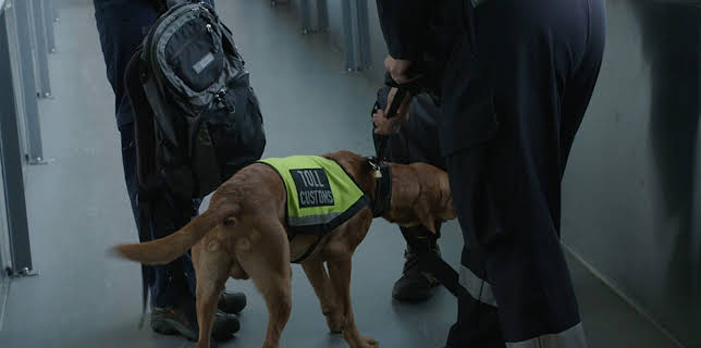 04:55: OSL 24-7 (S1 E7) (S1) | Viasat 4 | 11/10 2025