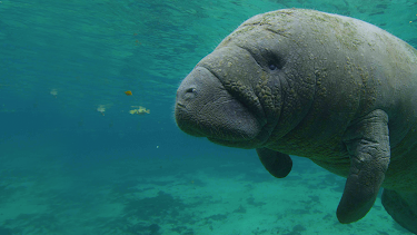 10:00 PM: America's National Parks | Nat Geo Wild | 11/12 2025