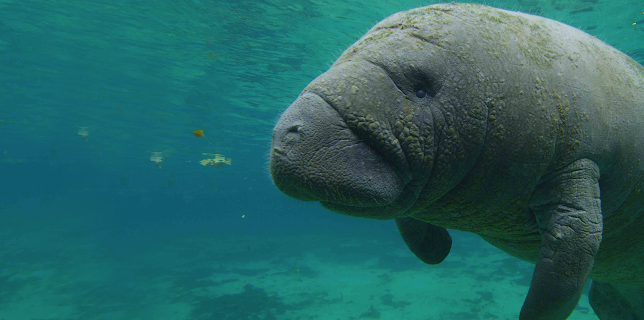 8:00 PM: America's National Parks | Nat Geo Wild | 11/19 2025