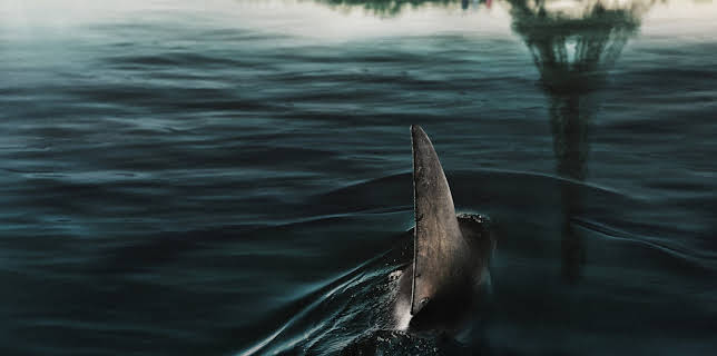 Hajar i Paris (2024)