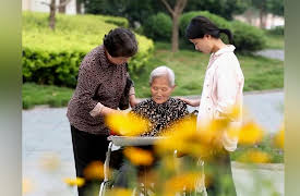 Dream Home: The Home for An Inter-dependent Family