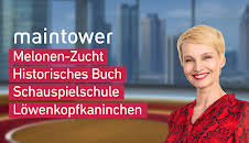 maintower
