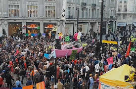 Fights Camera Action: Madness in Motion