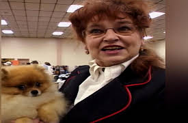 Going to the Dogs: Let the Show Begin