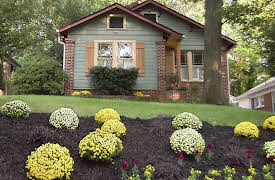 Curb Appeal: The Block: Ivy Monster is Tamed at the Curb