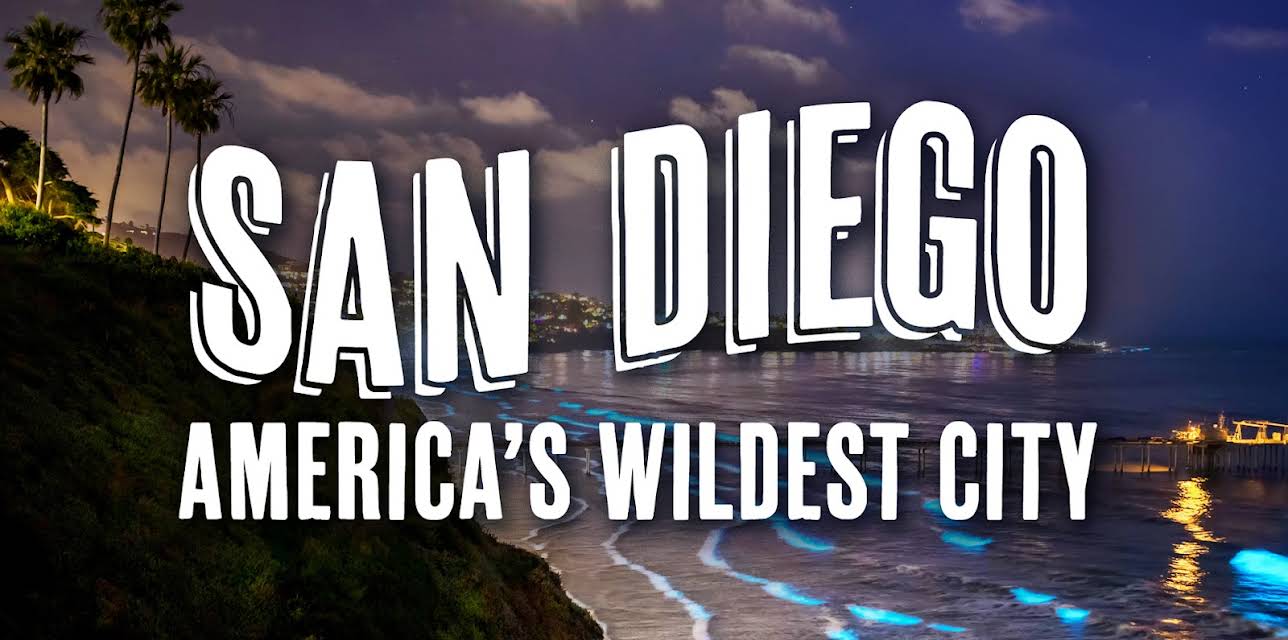San Diego: America's Wildest City (2024)