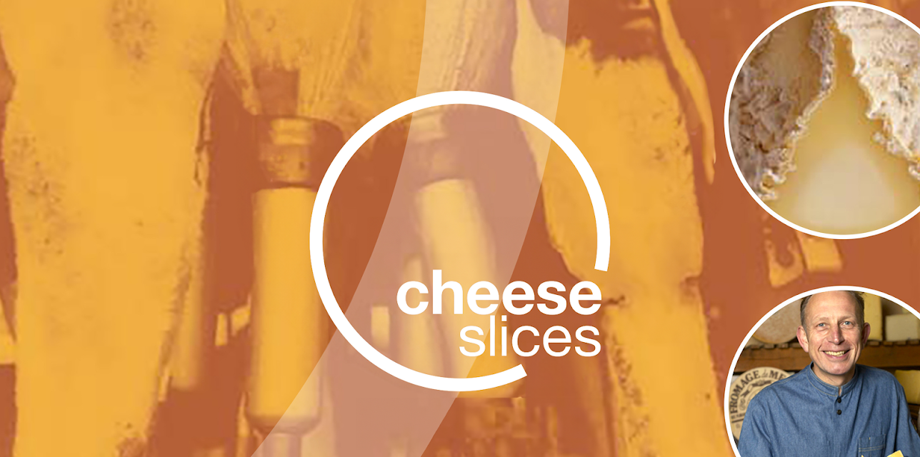 Cheese Slices Season 1
