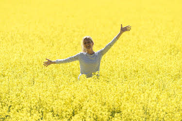 13:40: Inga Lindström: Das Postboot in den Schären | ZDF | 4/4 2026