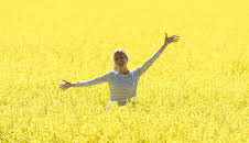 Inga Lindström: Das Postboot in den Schären