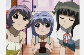 Magikano: Magi? The Dangerous Siblings?