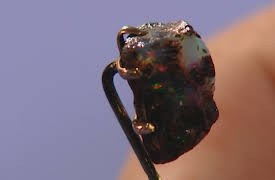 Dickinson's Real Deal: Episode 5