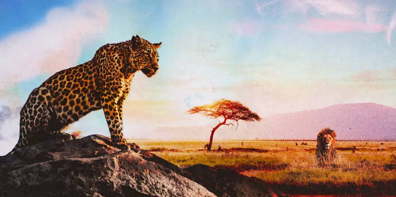 The Predators of Africa (2014)