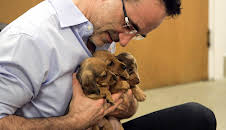 The Supervet: Puppy Special