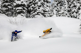 Natural Selection Tour Duels - 2024: 2024 - Daviet vs Mindnich