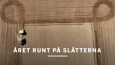 14:20: Året runt på slätterna | SVT2 | 7/9 2026