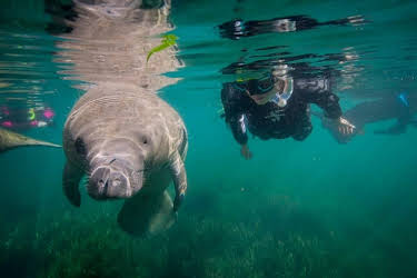 11:08: Das Überleben der Langsamsten | 3SAT | 4/15 2026