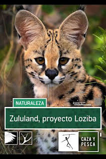 22:05: Zulú Land Proyecto Loziba | Caza y Pesca | 8/27 2026