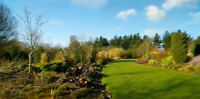 7:30 PM: The Flying Gardener (S1) | BBC Four | 1/24 2026