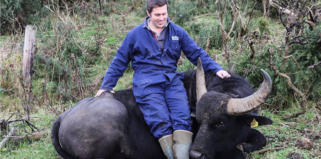 9:05 AM: This Farming Life (S3 E9) (S3) | BBC Two | 12/27 2025