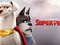 DC League of Super-Pets
