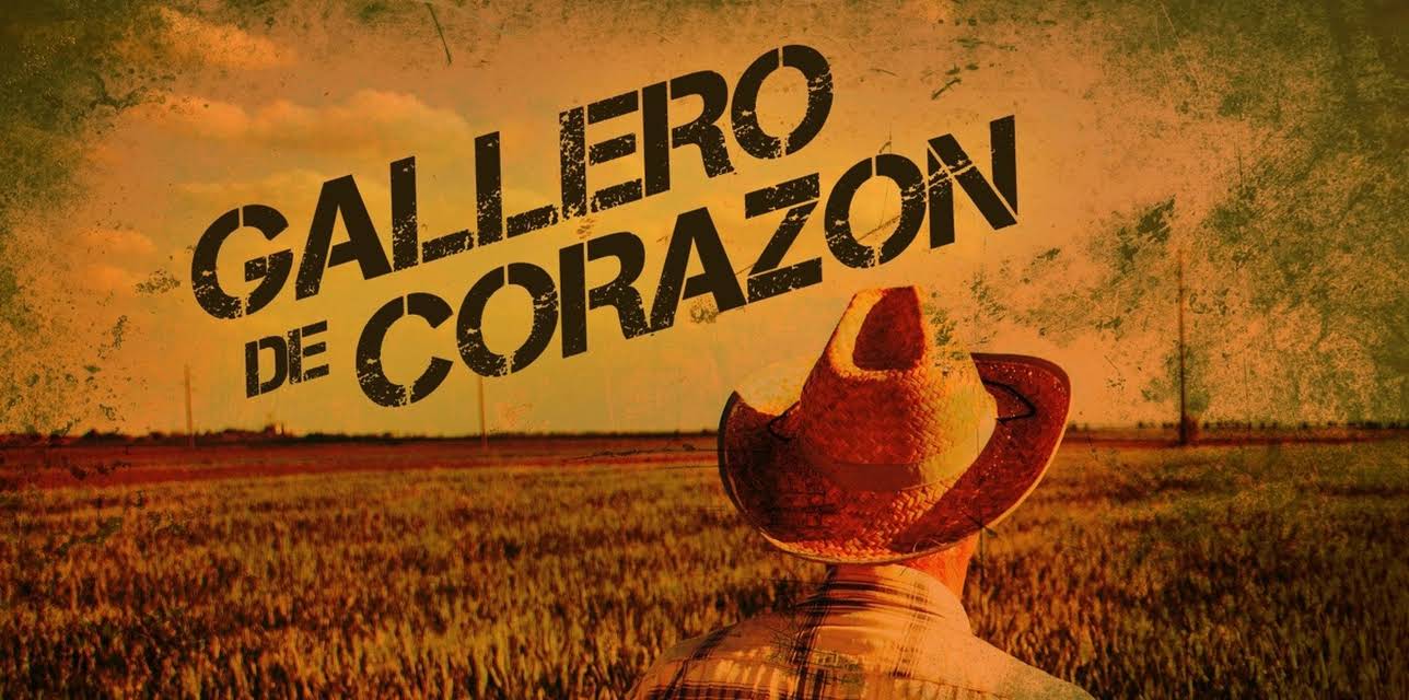 Gallero de corazón (2017)