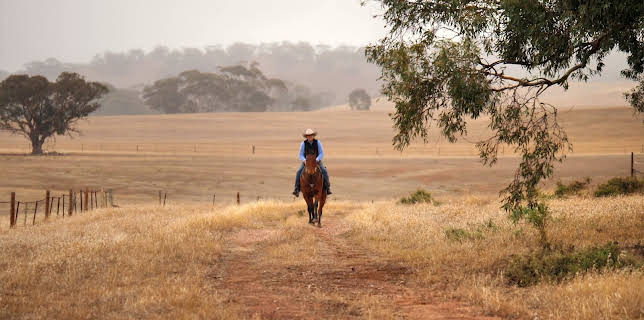 14:50: Find My Country House Australia | TV 2 Livsstil | 11/13 2025