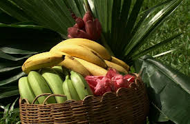 French delicatessen: Banana from the french west indies
