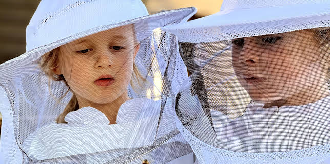 15:55: Nysgjerrige Noah: Honning og dronning | NRK Super | 1/14 2026