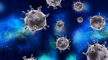 23:35: Unser Immunsystem - Wächter der Gesundheit | Radio Bremen | 8/26 2026