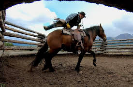 Breaking Wild: Season 1: Out Of Our League