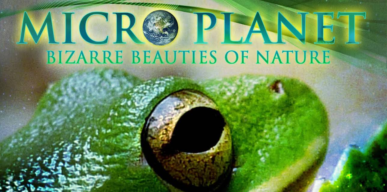 MicroPlanet (2012)