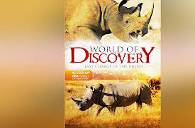 World of Discovery - The Complete Series: World Of Discovery - Last Charge of the Rhino