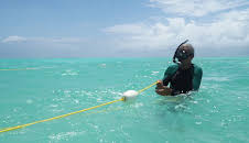 Die Meeresgärtner von Sansibar