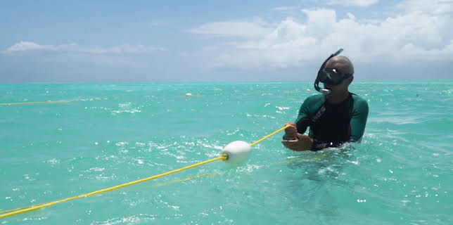 13:15: Die Meeresgärtner von Sansibar | 3SAT | 1/13 2026