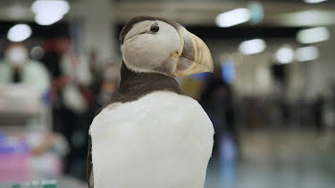 11:10: Border Patrol New Zealand | ProSieben Maxx | 4/24 2026